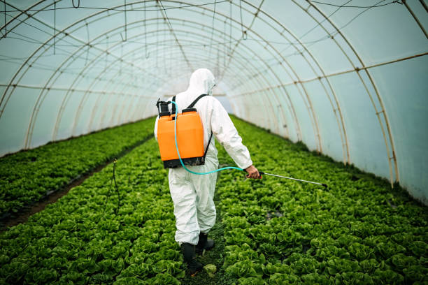 Best Residential Pest Control  in Cape Coral, FL