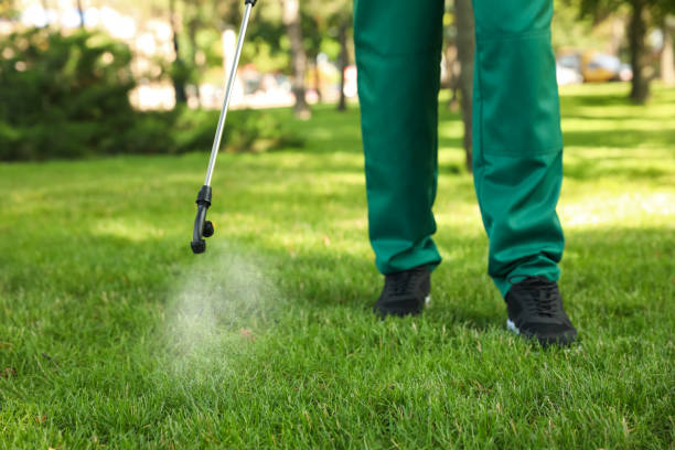 Trusted Cape Coral, FL Pest Control Experts